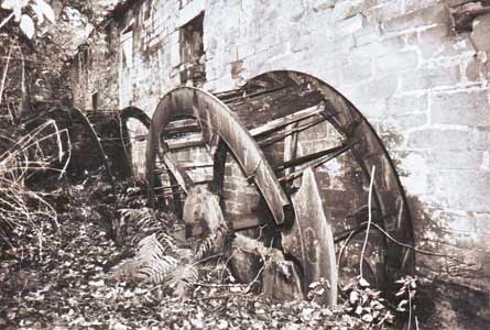 The second wheel in 1981