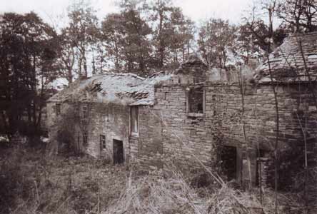 Mill 1981