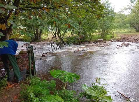 weir replacement